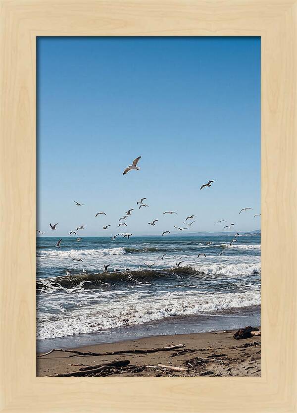 Seagulls Above Breaking Waves