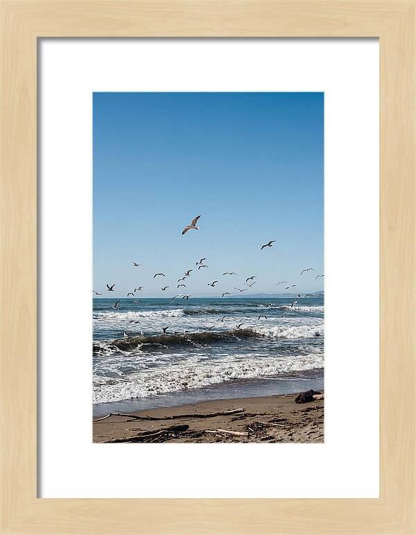 Seagulls Above Breaking Waves