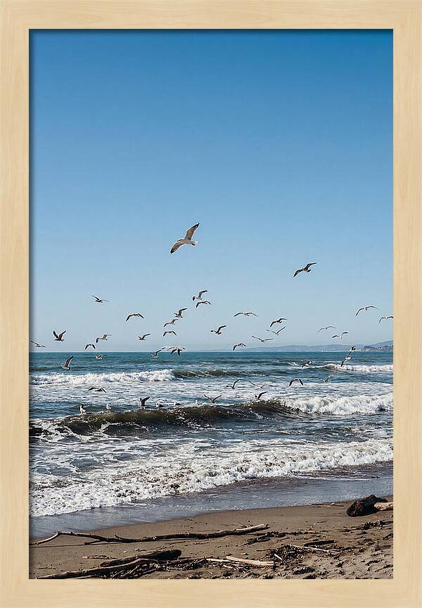Seagulls Above Breaking Waves