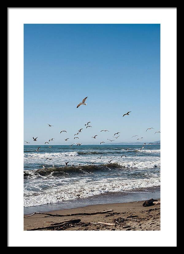 Seagulls Above Breaking Waves