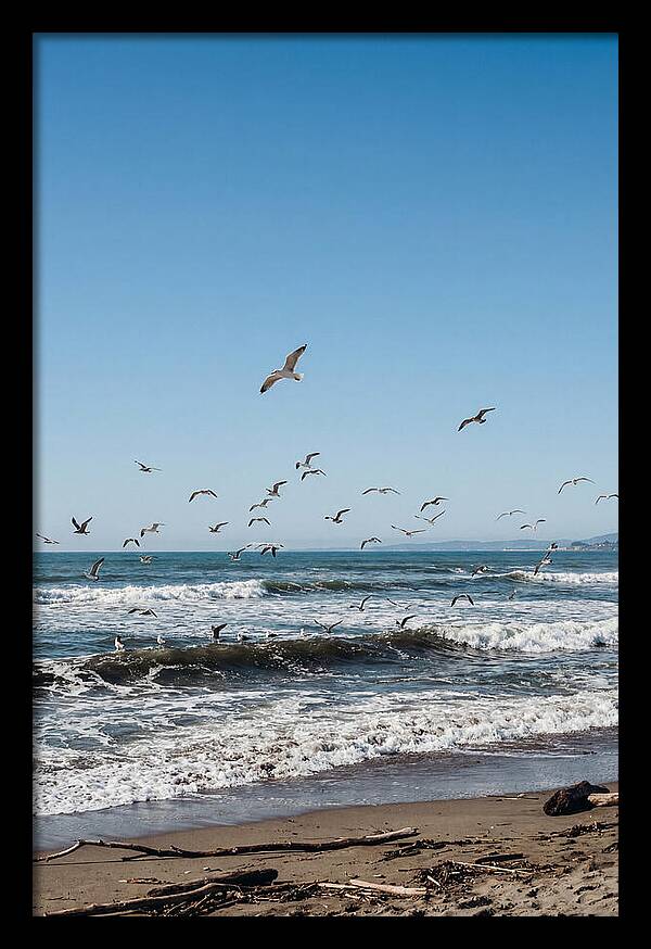 Seagulls Above Breaking Waves