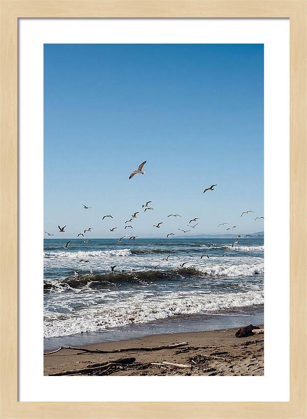 Seagulls Above Breaking Waves