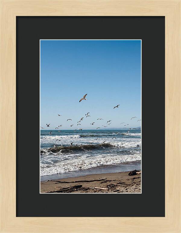 Seagulls Above Breaking Waves