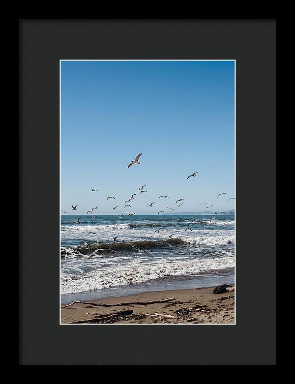 Seagulls Above Breaking Waves