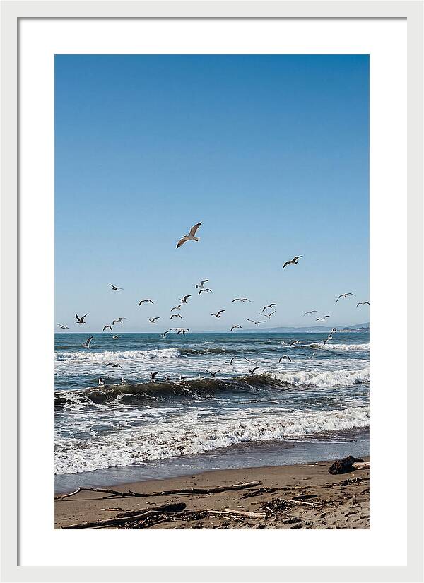 Seagulls Above Breaking Waves