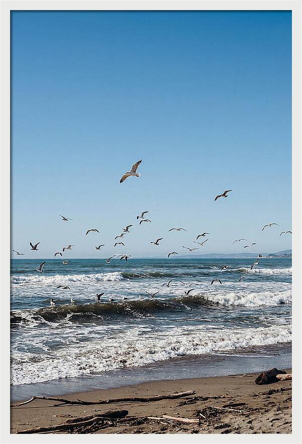 Seagulls Above Breaking Waves