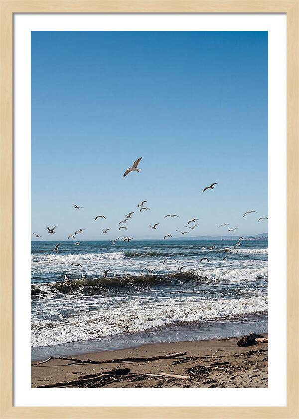 Seagulls Above Breaking Waves