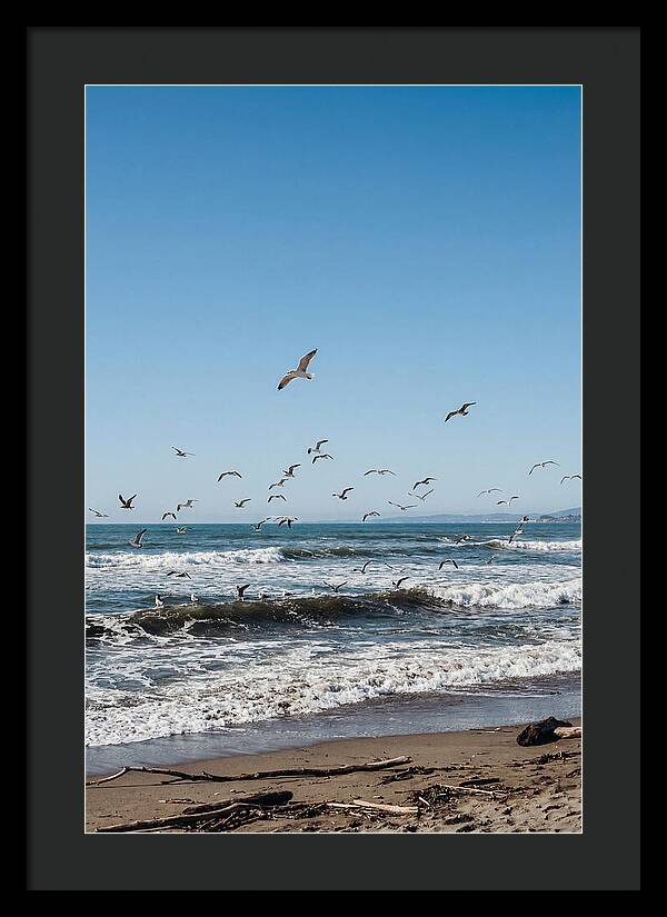 Seagulls Above Breaking Waves