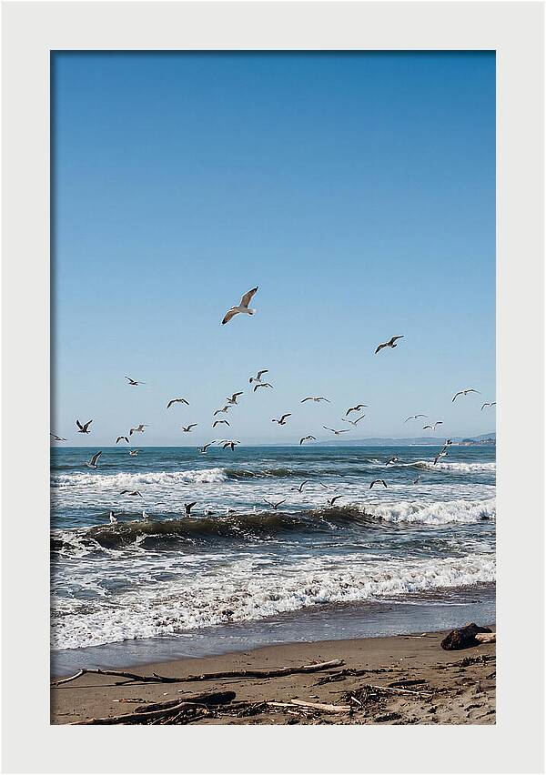 Seagulls Above Breaking Waves