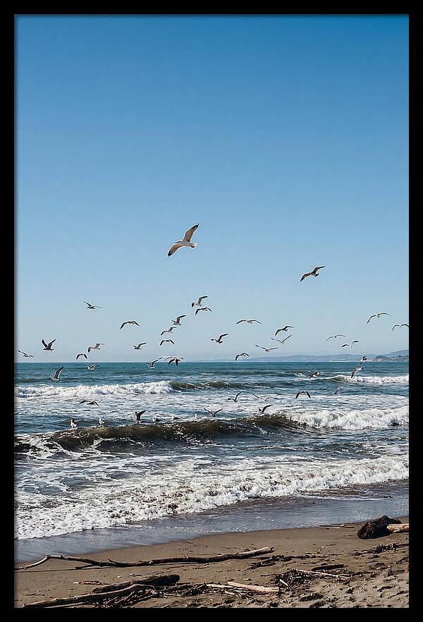 Seagulls Above Breaking Waves