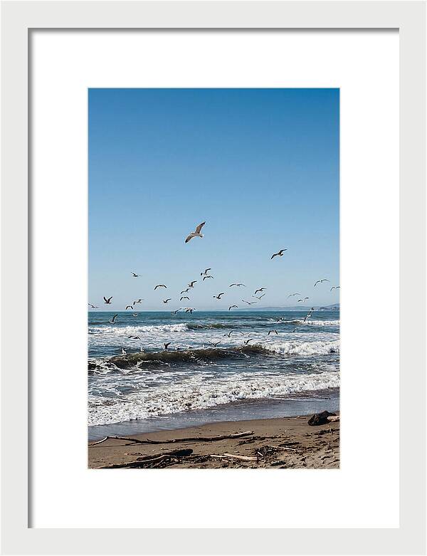 Seagulls Above Breaking Waves