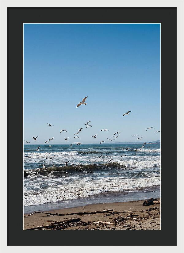 Seagulls Above Breaking Waves