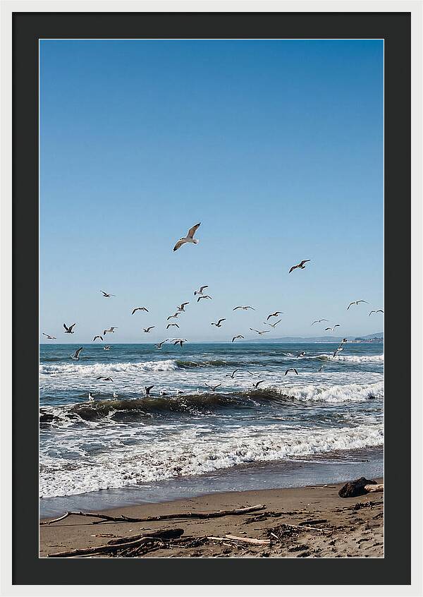 Seagulls Above Breaking Waves