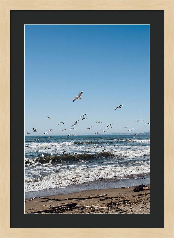 Seagulls Above Breaking Waves