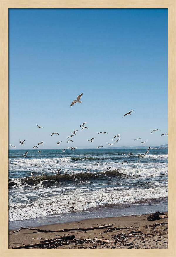 Seagulls Above Breaking Waves