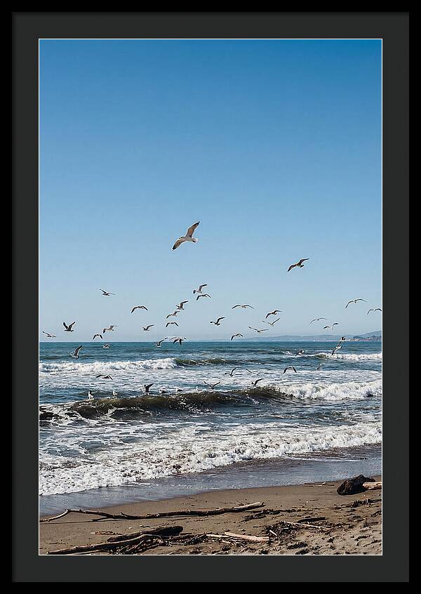 Seagulls Above Breaking Waves