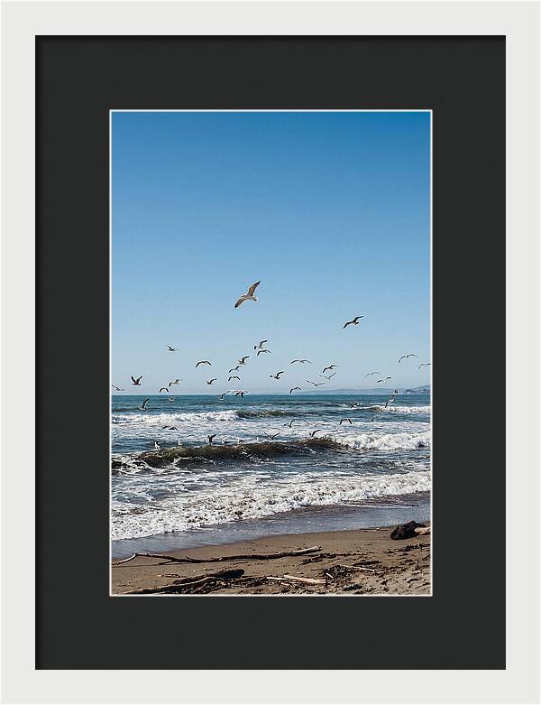 Seagulls Above Breaking Waves