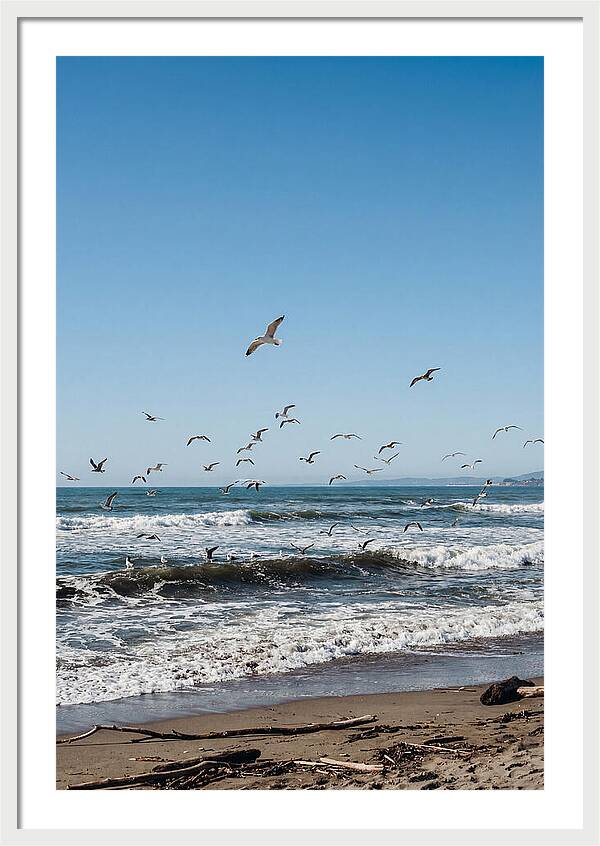 Seagulls Above Breaking Waves