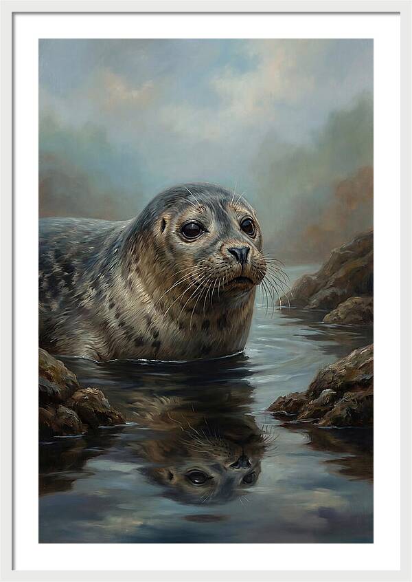Seal Emerging From Water