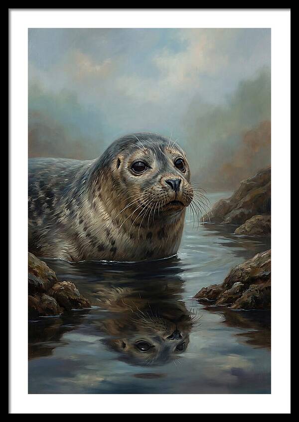 Seal Emerging From Water