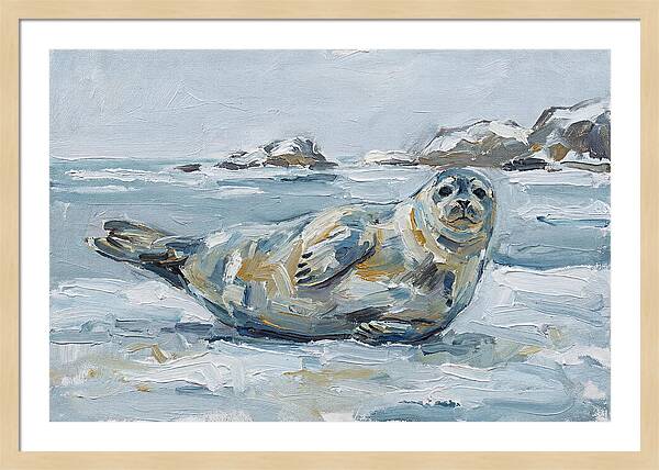Seal Relaxing On Ice