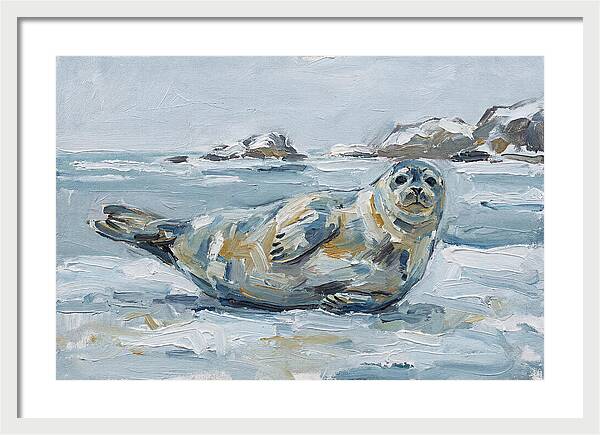Seal Relaxing On Ice