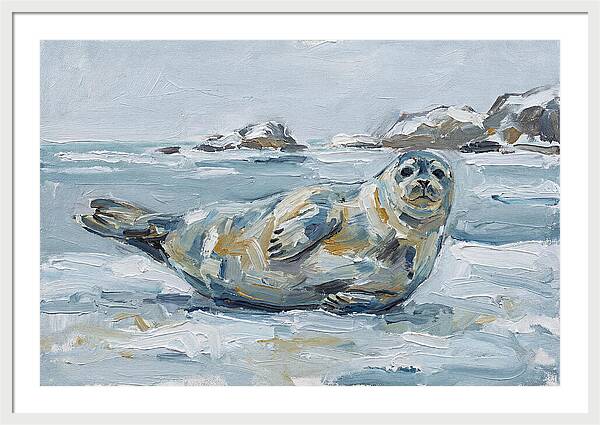 Seal Relaxing On Ice