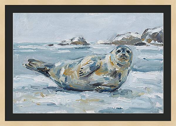 Seal Relaxing On Ice