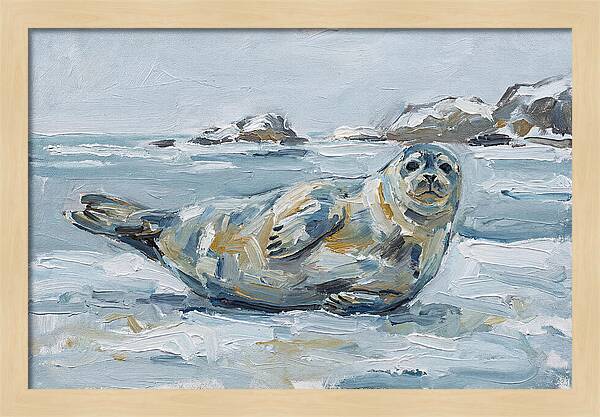 Seal Relaxing On Ice
