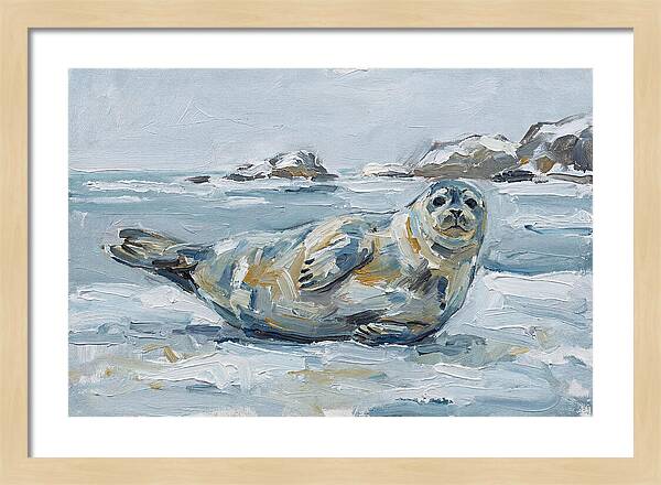 Seal Relaxing On Ice