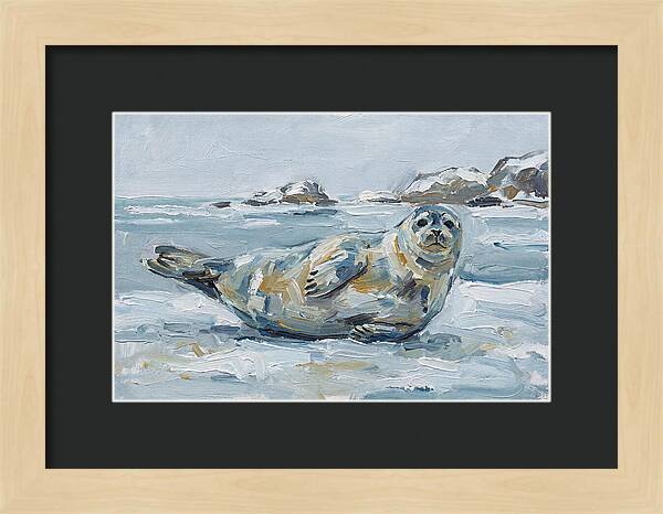 Seal Relaxing On Ice