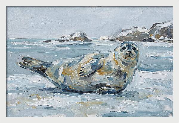 Seal Relaxing On Ice