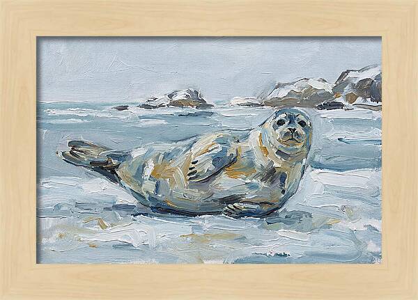 Seal Relaxing On Ice