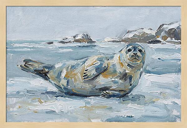 Seal Relaxing On Ice