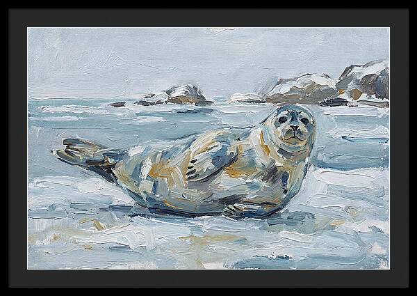 Seal Relaxing On Ice