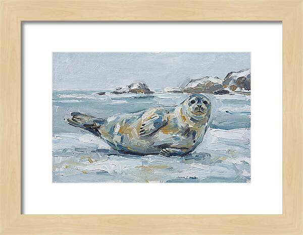 Seal Relaxing On Ice