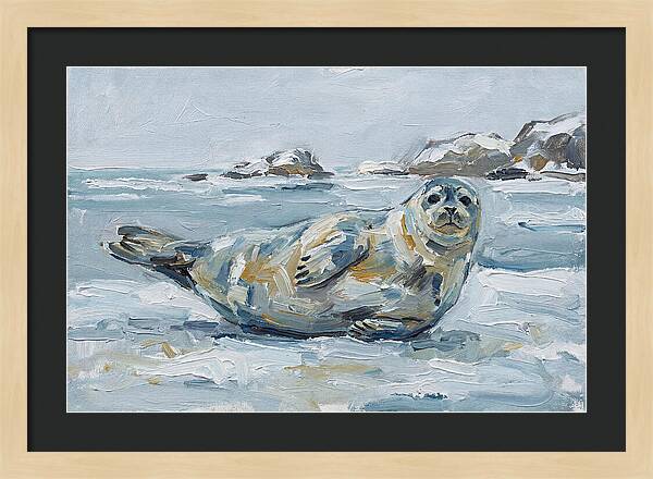 Seal Relaxing On Ice