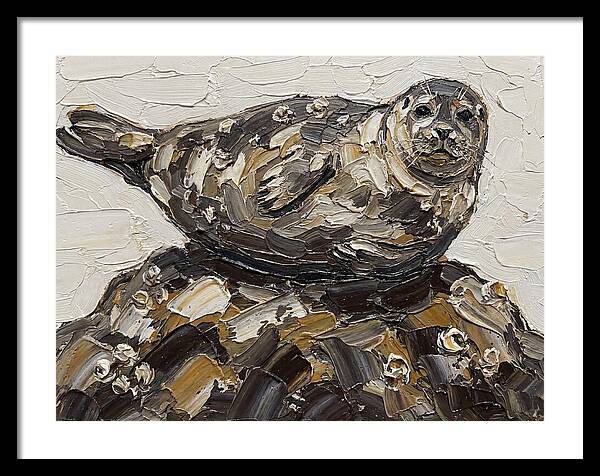 Seal Resting On Rocks