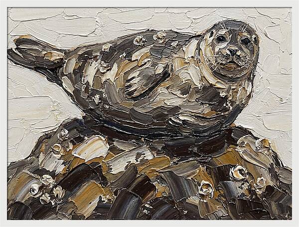 Seal Resting On Rocks