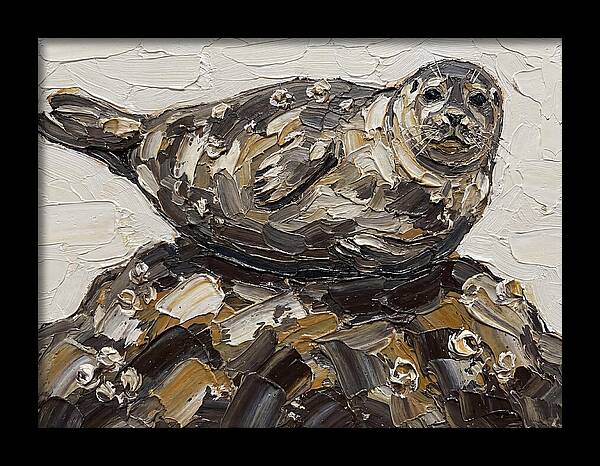 Seal Resting On Rocks