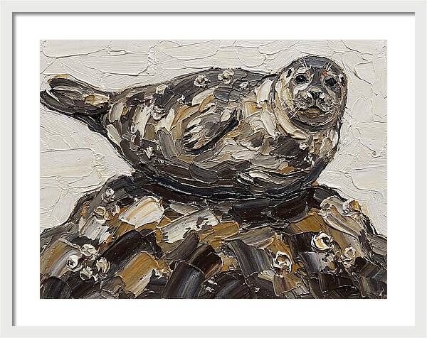 Seal Resting On Rocks