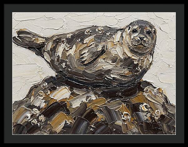 Seal Resting On Rocks