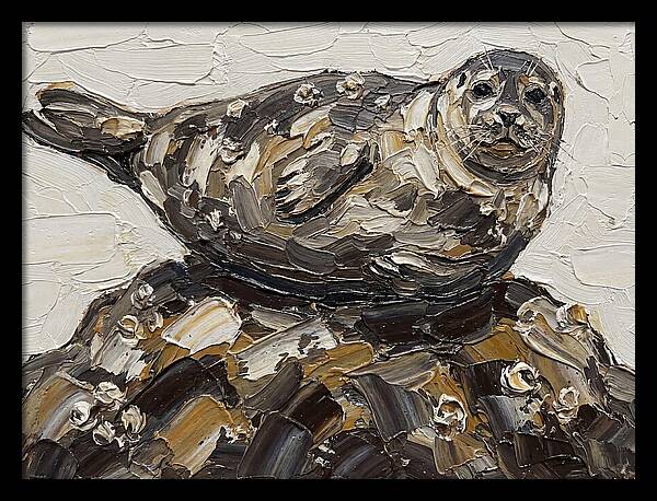 Seal Resting On Rocks