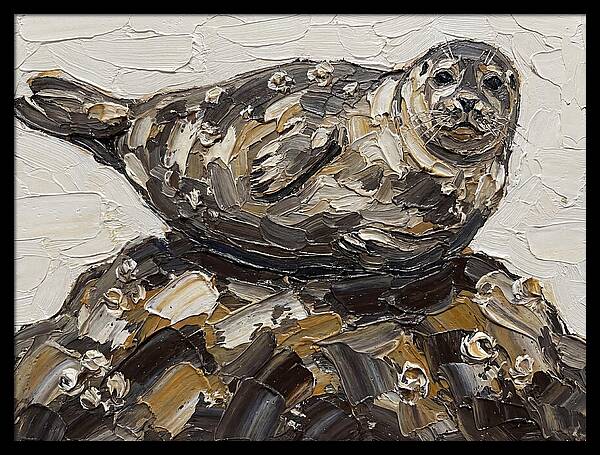 Seal Resting On Rocks