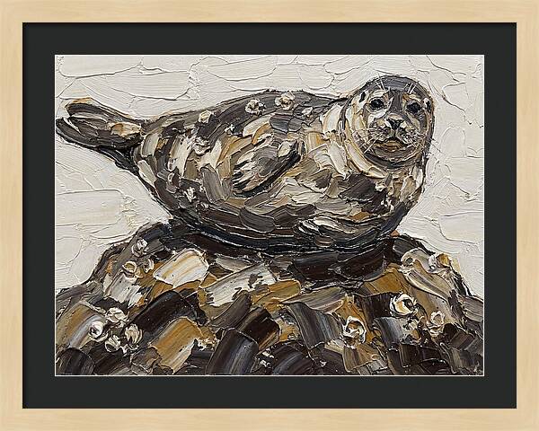 Seal Resting On Rocks