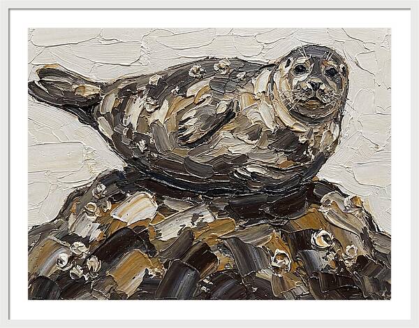Seal Resting On Rocks