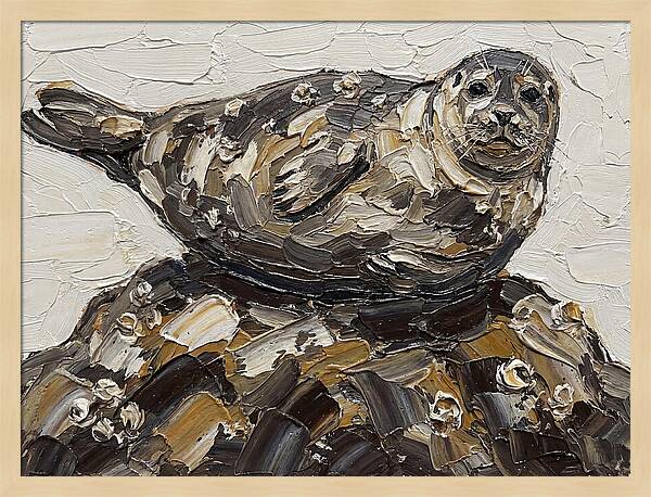 Seal Resting On Rocks