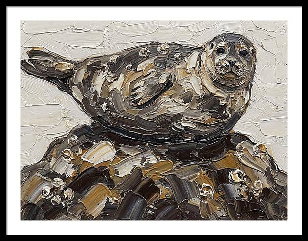 Seal Resting On Rocks