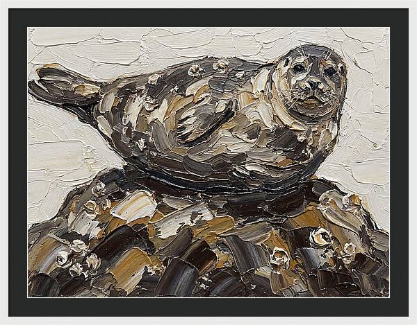 Seal Resting On Rocks