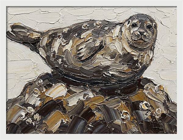 Seal Resting On Rocks
